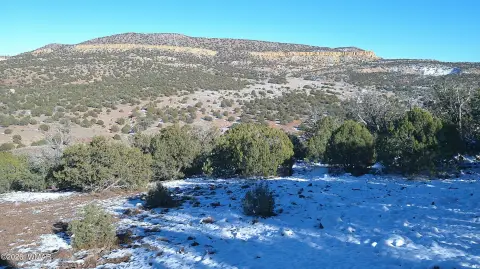 Remote Treed Land in Concho