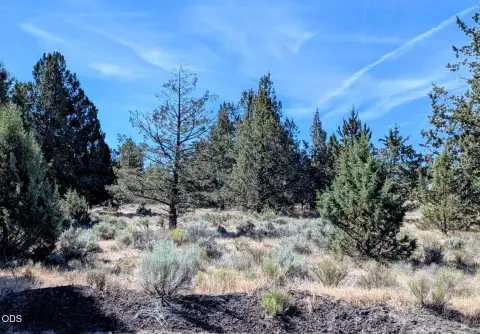 Level Treed Home Site