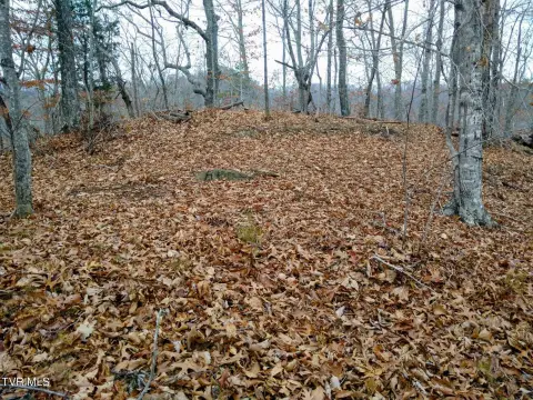 Unrestricted Wooded Land, Sneedville