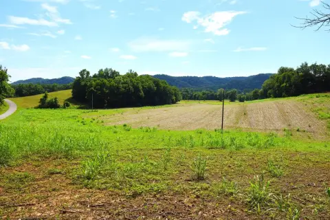 Hobby Farm Land with Road Frontage