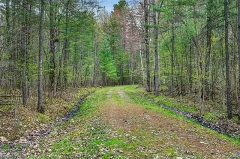 Recreational Land in Secord Pines