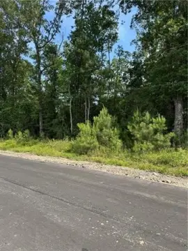 Land Near Tickfaw River