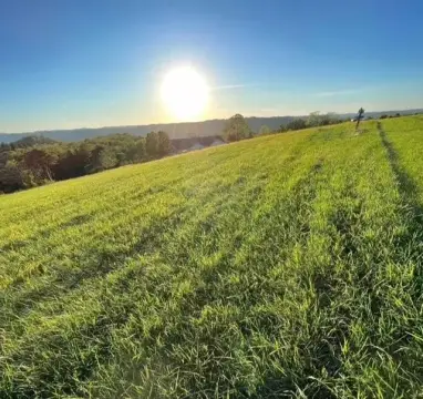 Wheeling Land with Stunning Views