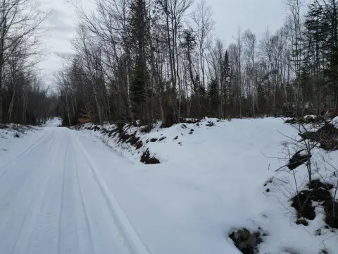 24.84 Acres of Hunting Land