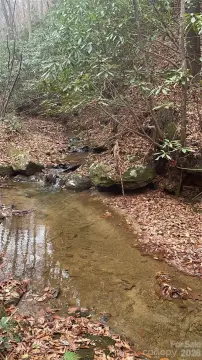 Lenoir NC Wooded Land