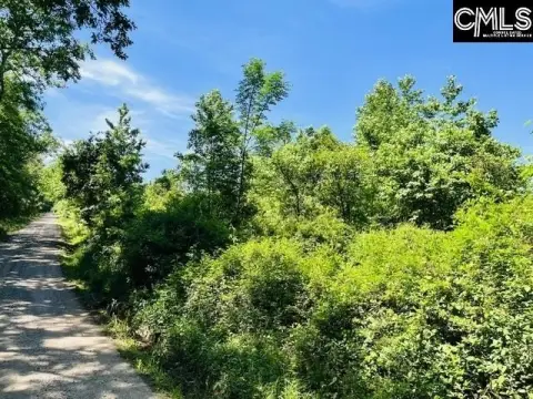 31 Acres of Wooded Land