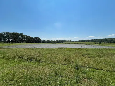 14 Acres with Pond in Alread
