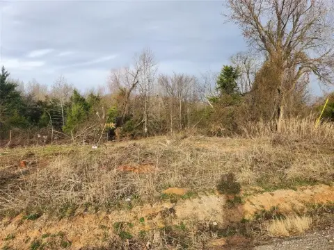 Sulphur Springs Land For Sale