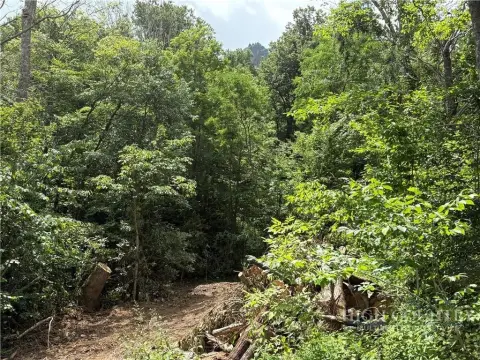 Wooded Waterfront Homesite