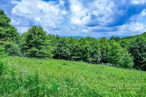 Mountain View Land Tract