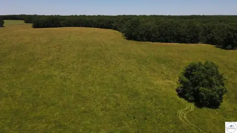Timbered Recreational Land