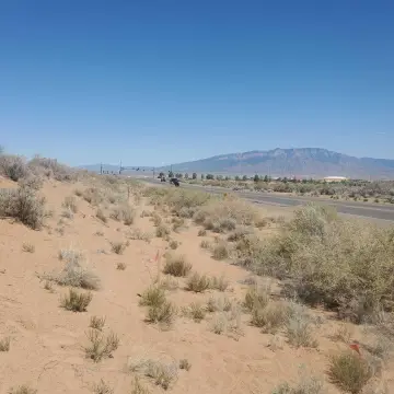 Commercial Lot Near City Hall