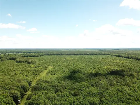 Timber Hunting Land