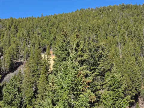 Montana Recreational Land with River
