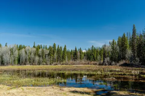 Recreation Land with Wetland