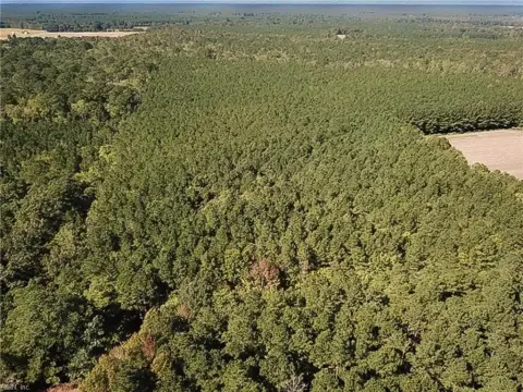 Wooded Hunting Land