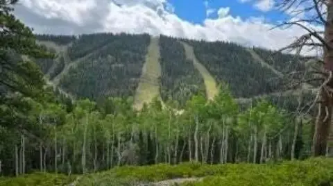 Eagle Point Ski Resort Land