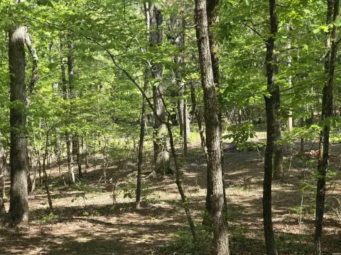 Residential Lot in Diamondhead Resort