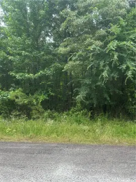 Dardanelle Land for Residential Development