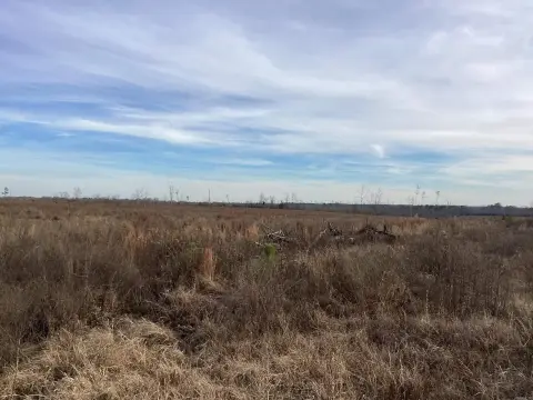 Secluded Acreage in Okolona, AR