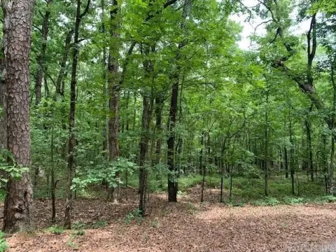 Heber Springs Subdivision Wooded Lots