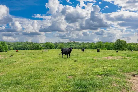 Arkansas Ranch and Hunting Property