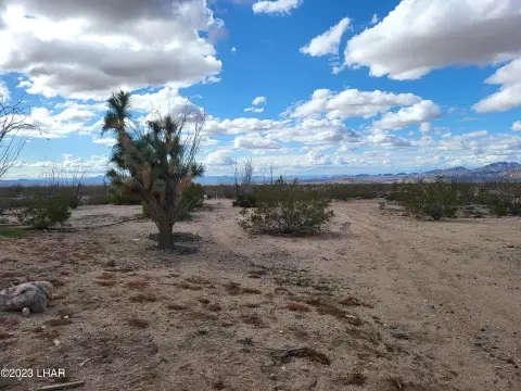 40 Acres in Yucca, AZ