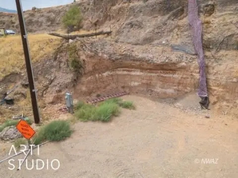 Littlefield, AZ Vacant Land