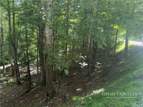 Sloped Wooded Residential Land Lot