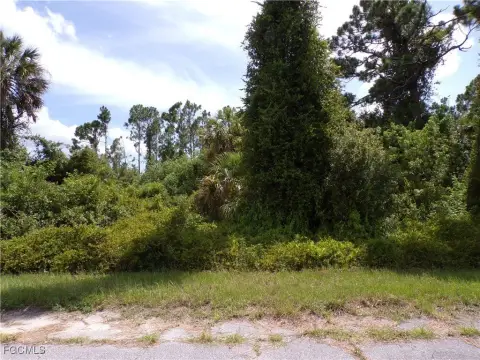 Residential Lot in North Port