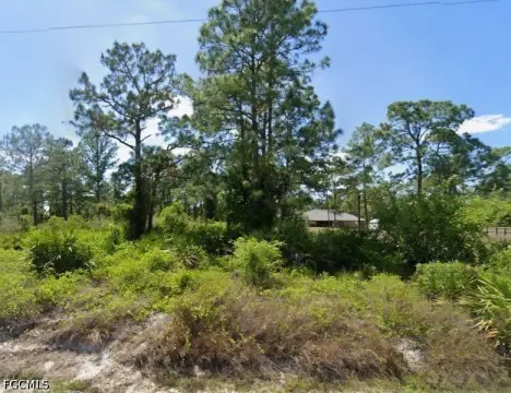 Lehigh Acres Half-Acre Lot