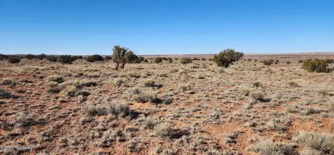 40 Acres in Concho, Arizona