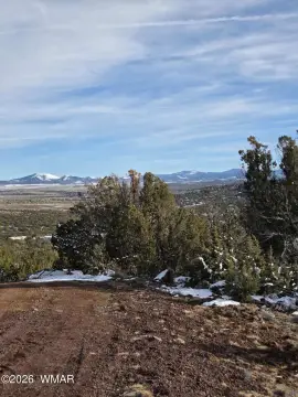 Land in Vernon, Arizona
