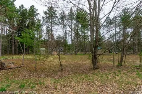 Buildable Lots Near Higgins Lake