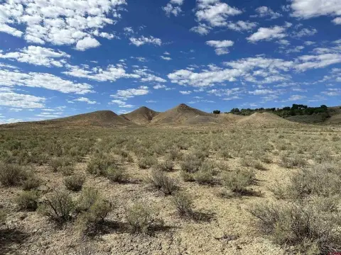 35 Acres in Montrose, CO