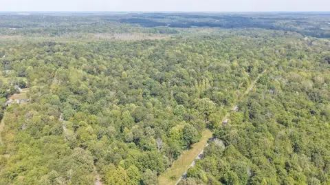 Wooded Land with Open Areas