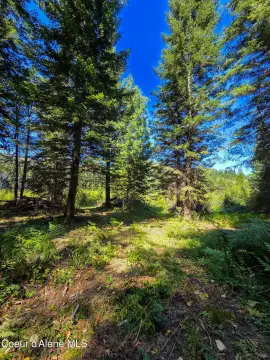 10 Acres Near Priest River