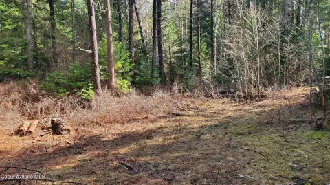 60 Acres Backing Timberland