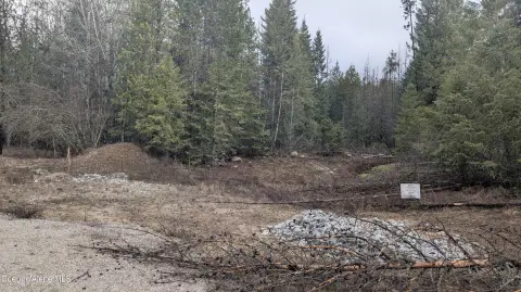 Treed Land Parcel Near Athol