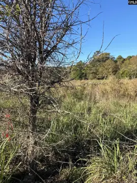 Chapin Estate Lot - 11 Acres