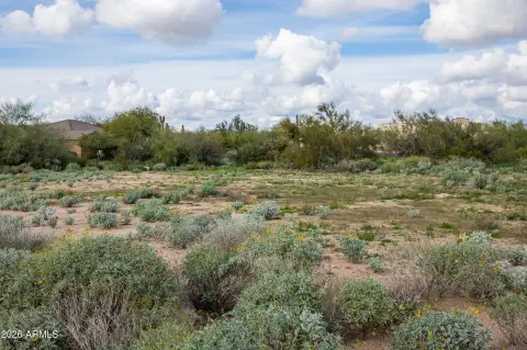Scottsdale Acre+ Corner Lot