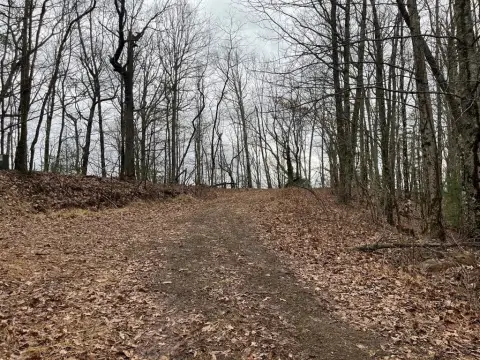 Crockett Mountain Land Investment