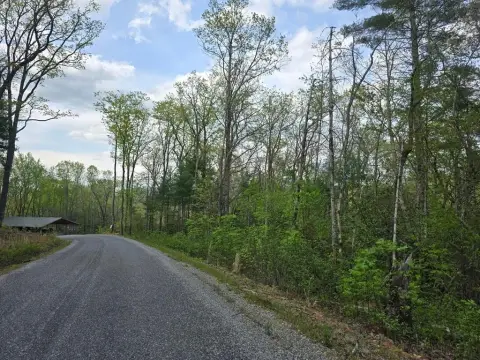 Mountain View Lot in Blairsville