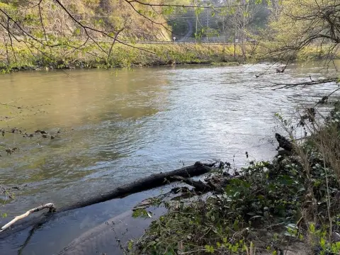 Hiwassee Riverfront Lot