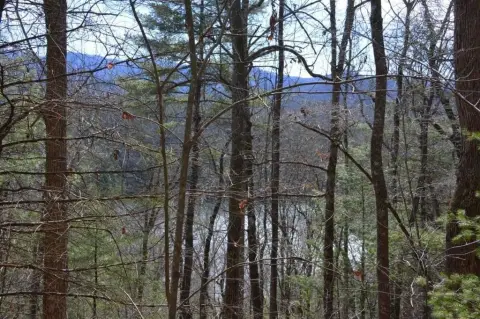 Land with Lake Santeetlah Views