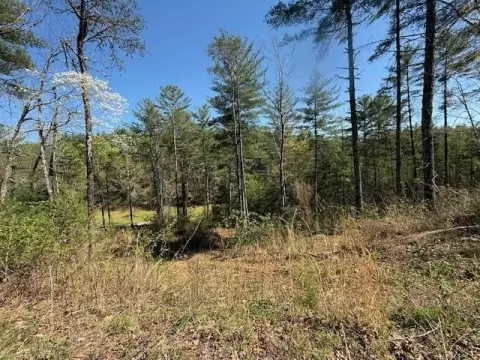 Wooded Lot in Mountain Community