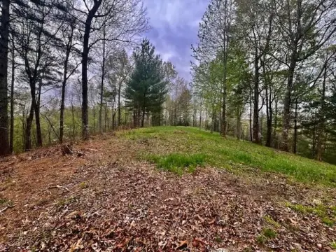 Land with Mountain Views