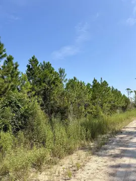 Hunting Land