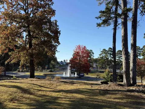Commercial Land at Village Entrance