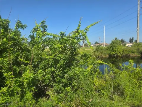 Oversized Freshwater Lot in Cape Coral